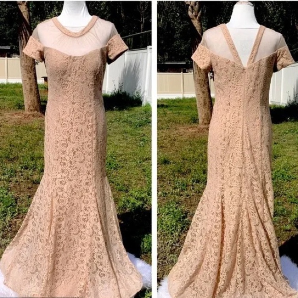 R&M Richard’s Illusion Lace Mermaid Gown